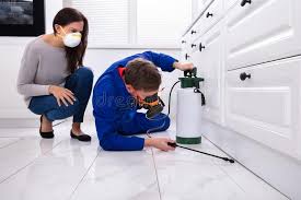 Best Emergency Pest Control  in Jonesboro, LA